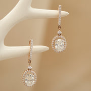 Oval Halo Hoop Earrings